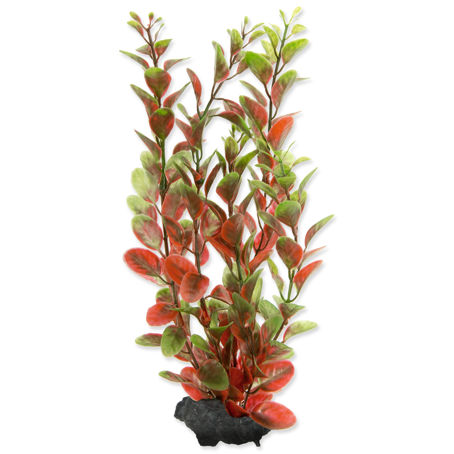 Levně Rostlina TETRA Red Ludwigia M 1ks