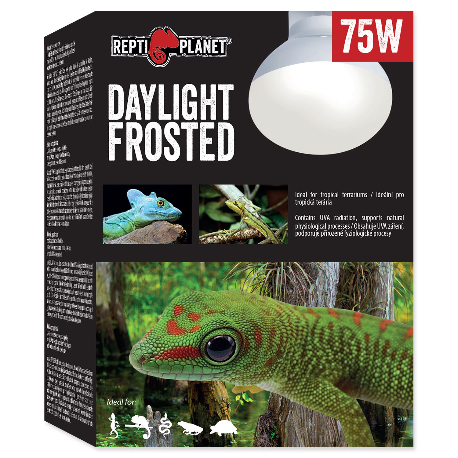 Levně Žárovka REPTI PLANET Daylight Frosted 75W