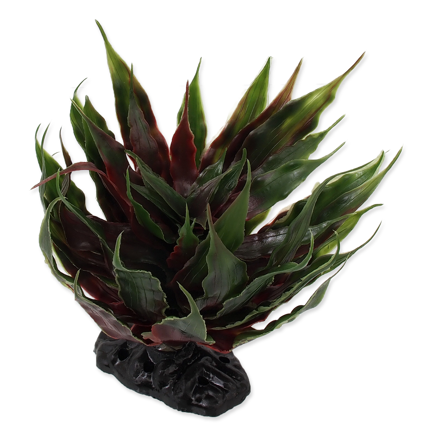 Levně Rostlina REPTI PLANET sukulent Agave zelená 18 cm 1ks