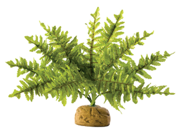 Levně Rostlina EXO TERRA Boston Fern malý 17 cm