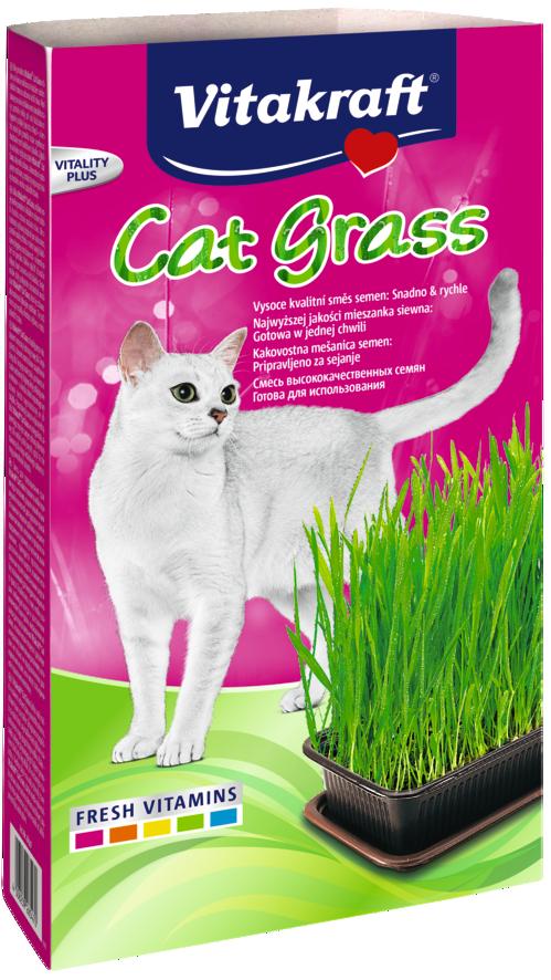 Levně Vitakraft Cat Grass tráva pro kočky 120 g