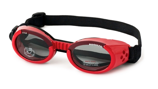 Levně Doggles ILS - Sluneční a ochranné brýle pro psy Red Velikost: M