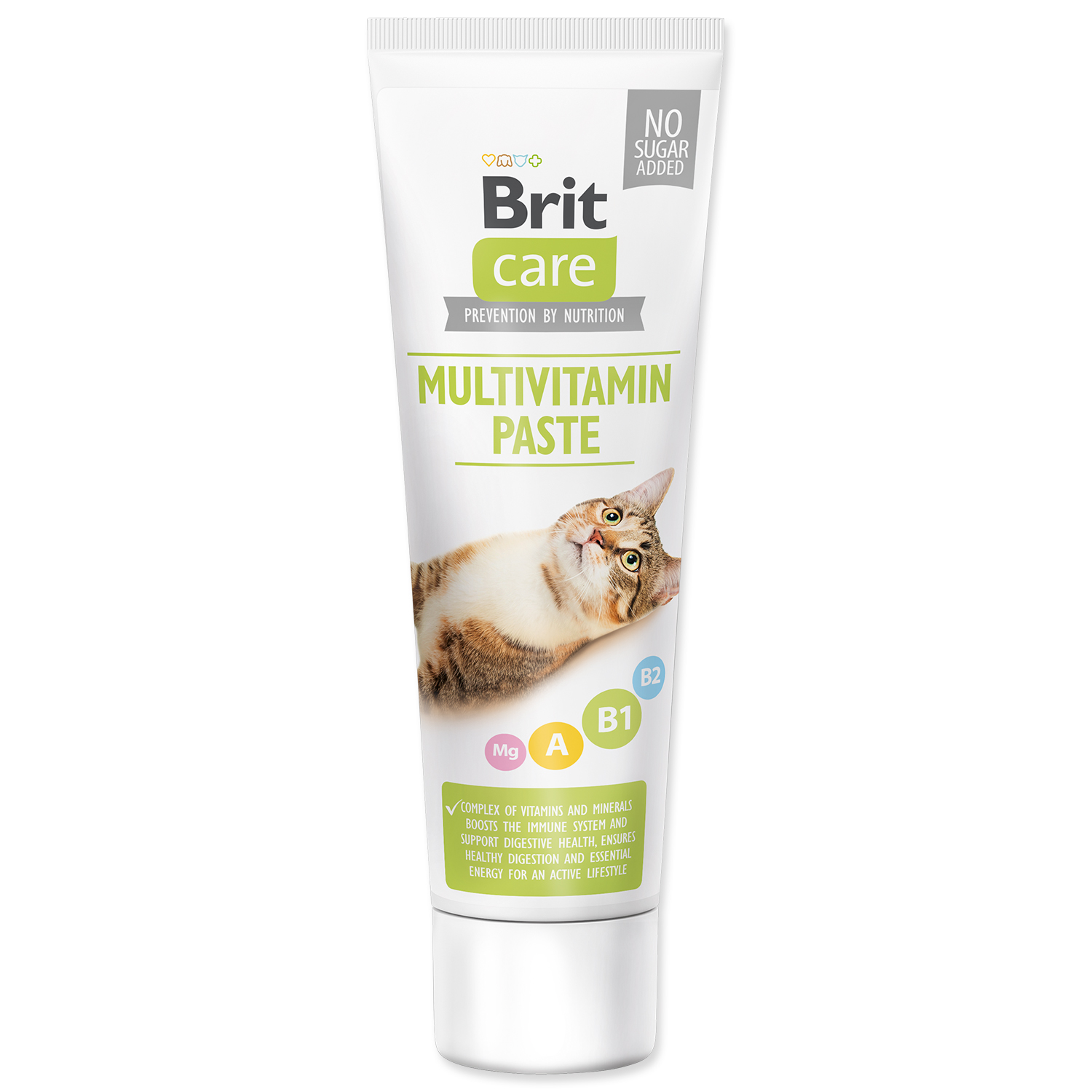 Levně BRIT Care Cat Paste Multivitamin 100 g