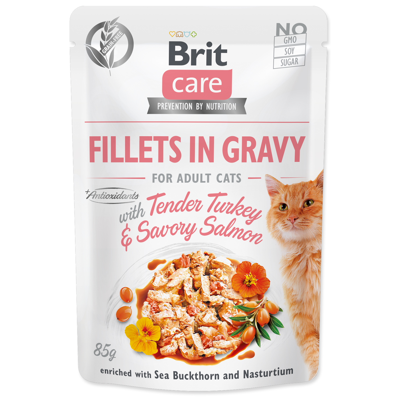 Levně Kapsička BRIT Care Cat Fillets in Gravy with Tender Turkey & Savory Salmon 85 g