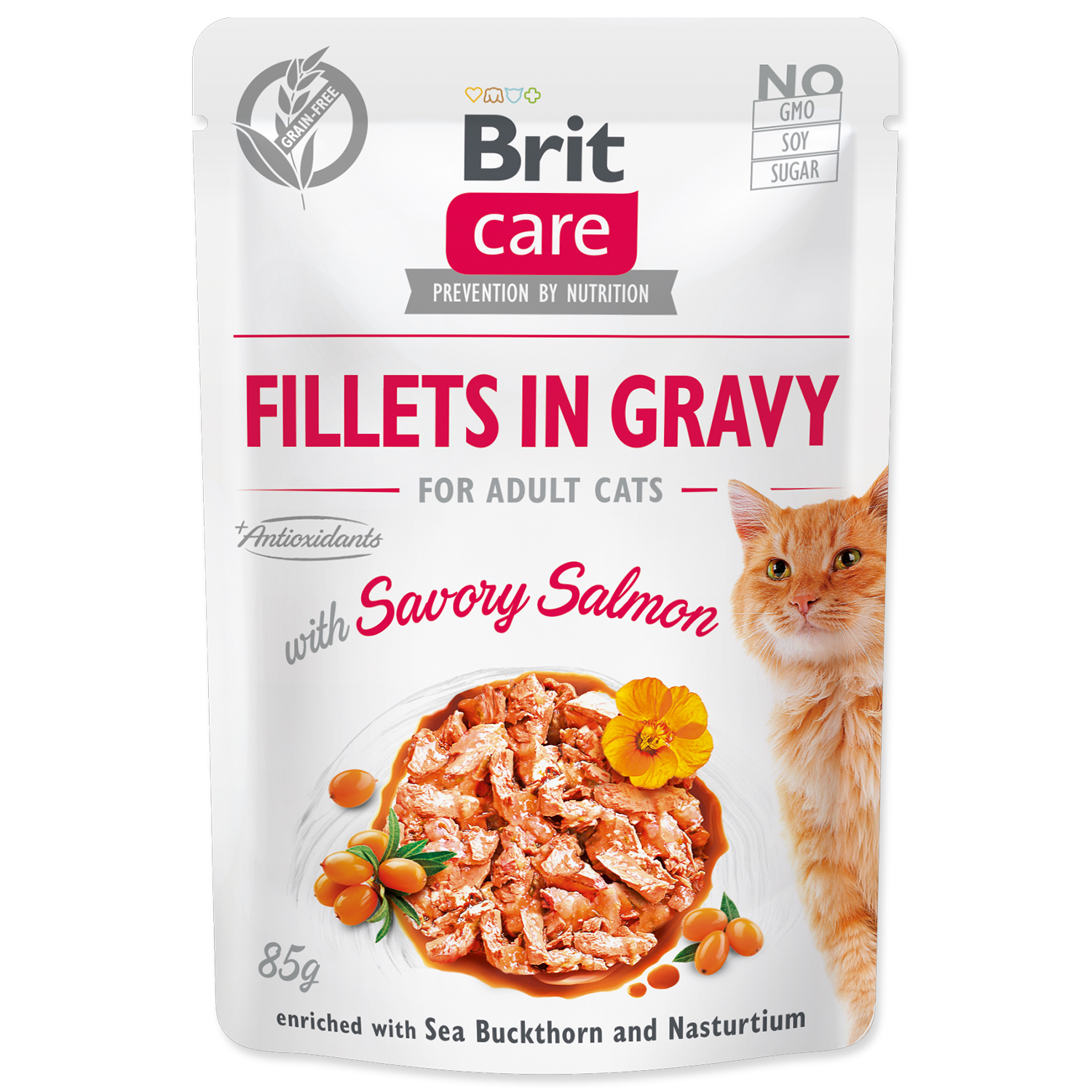 Levně Kapsička BRIT Care Cat Fillets in Gravy with Savory Salmon 85 g