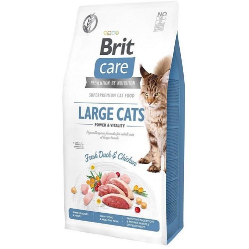 Levně Brit care cat large cats power and vitality grain free 7kg