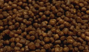 Levně Coral Pellets S 100g