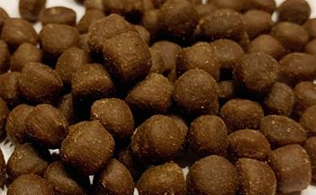 Levně Coral Pellets L 100g