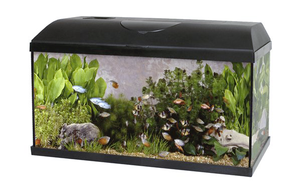 Levně SET Akvárium PACIFIC 100 x 40 x 40 cm, 160 litrů, s LED osvětlením a biofiltrem