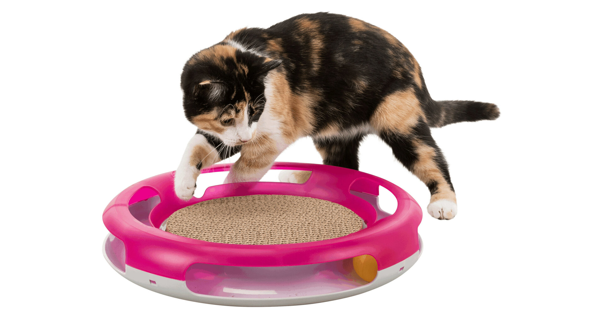 Levně Hračka pro kočku kruh s kuličkou a škrabacím kartonem 37 cm