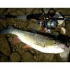 Přívlačový prut Sportex Black Arrow G2 ULR