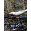 Přívlačový prut Sportex Black Arrow G2 ULR