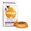 Krmivo IAMS Dog Puppy Small & Medium Chicken 3kg