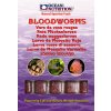 Bloodworms
