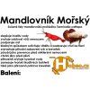 Mandlovník Mořský 100 g