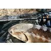 Feeder pruty Sportex Xclusive Feeder RS-2 Medium Light 3-díl