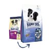 Happy dog Junior