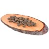 Krmivo Carnilove True Fresh Adult FISH 4kg