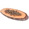 Krmivo Carnilove True Fresh Adult FISH 4kg