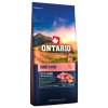 NOVÉ - Krmivo Ontario Adult Large Lamb & Brown Rice 12kg