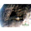PROFIPLANTS SMART SUBSTRATE