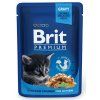 Brit premium 100 g kitten kaps.chicken v omáčce