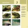 Agama kočinčinská - Robimaus