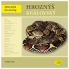 Hroznýš královský - Robimaus