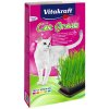 Vitakraft Cat Grass tráva pro kočky 120 g habeo.cz