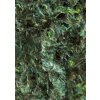 Ocean Nutrition Green Seaweed 30g
