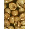 Ocean Nutrition Artemie Brine Shrimp Eggs Pre-Mix 50g