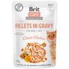 Kapsička Brit Care Cat kuře, filety v omáčce 85 g