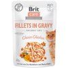 Kapsička Brit Care Cat kuře, filety v omáčce 85 g