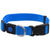 Obojek Active Dog Premium M modrý 2x34-49cm