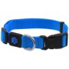 Obojek Active Dog Premium M modrý 2x34-49cm