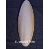 sepiova kost brousena 25 cm