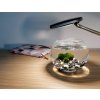 SET Řasokoule a akvarijní koule 0,8 l s černo-bílým štěrkem set řasokoulí se skleněným akváriem a štěrkem černé a bílé kamínky kameny s řasokoulemi habeo.cz