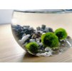 SET Řasokoule a akvarijní koule 2,5 l s černo-bílým štěrkem dekorace, střední řasokoule s kamínky černými a bílými dárek tři řasokoule Habeo.cz