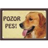 Výstražná cedule: Zlatý retrívr I pozor pes habeo.cz plechová tabulka na plot