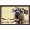 Výstražná cedule: Cane corso II pozor pes smaltovaná kovová tabulka na plot habeo.cz