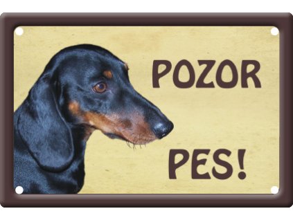 78699 vystrazna cedule jezevcik hladkosrsty i habeo cz pozor pes plechova tabule