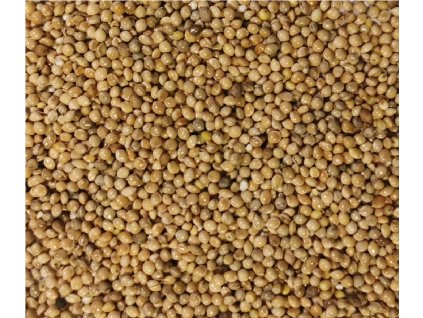 10088 2 proso bile 1 kg