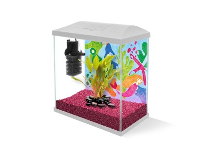 130615 4 3874911932079470078 1 999 dystrybucja 1493951697