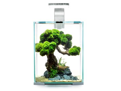 131398 1926517295836687596 1 999 dystrybucja 788072849