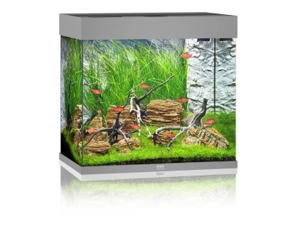 136183 1 5noi200101 ezgif com webp to jpg converter