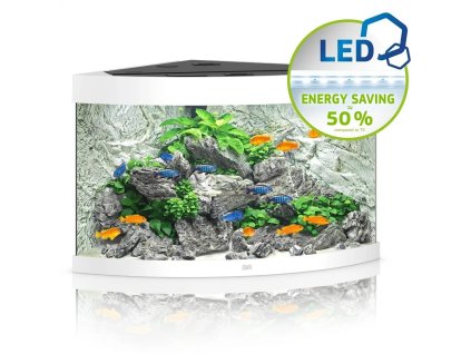 136189 1 abr0000101 ezgif com webp to jpg converter