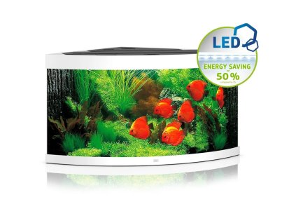 136192 1 s124 ezgif com webp to jpg converter