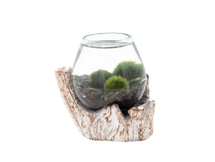 136381 4 set rasokoule a sklenena dekorace na vymyvanem dreve mala se sterkem