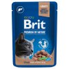 141163 brit premium chunks in gravy with liver for sterilised cats 100g expirace 8 2025