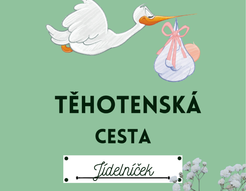 Průvodce stravou v těhotenství